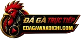 EDAGAWAKOICHICOM