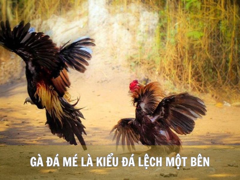 Gà Đá Mé Là Kiểu Đá Lệch Một Bên