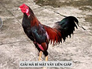 Giải Mã Bí Mật Vảy Liên Giáp