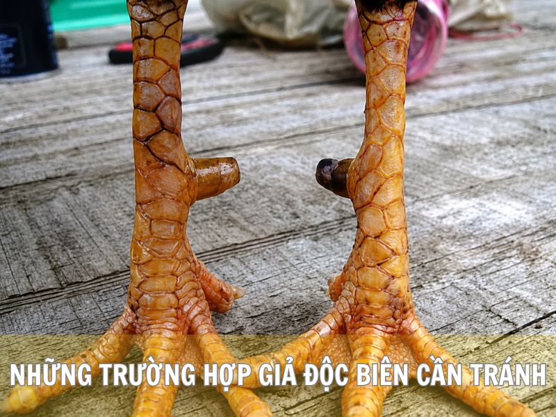 Những Trường Hợp Giả Độc Biên Cần Tránh