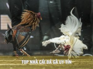 Top Nhà Cái Đá Gà Uy Tín